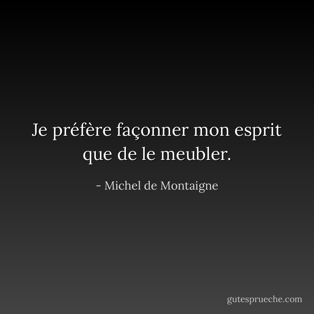 Je préfère façonner mon esprit que de le meubler. - Michel de Montaigne
