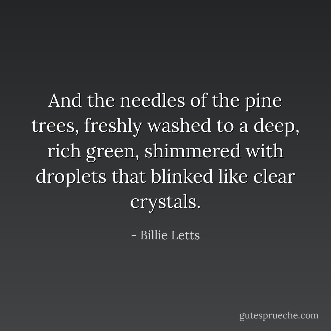 And the needles of the pine trees, freshly washed to a deep, rich green, shimmered with droplets that blinked like clear crystals. - Billie Letts