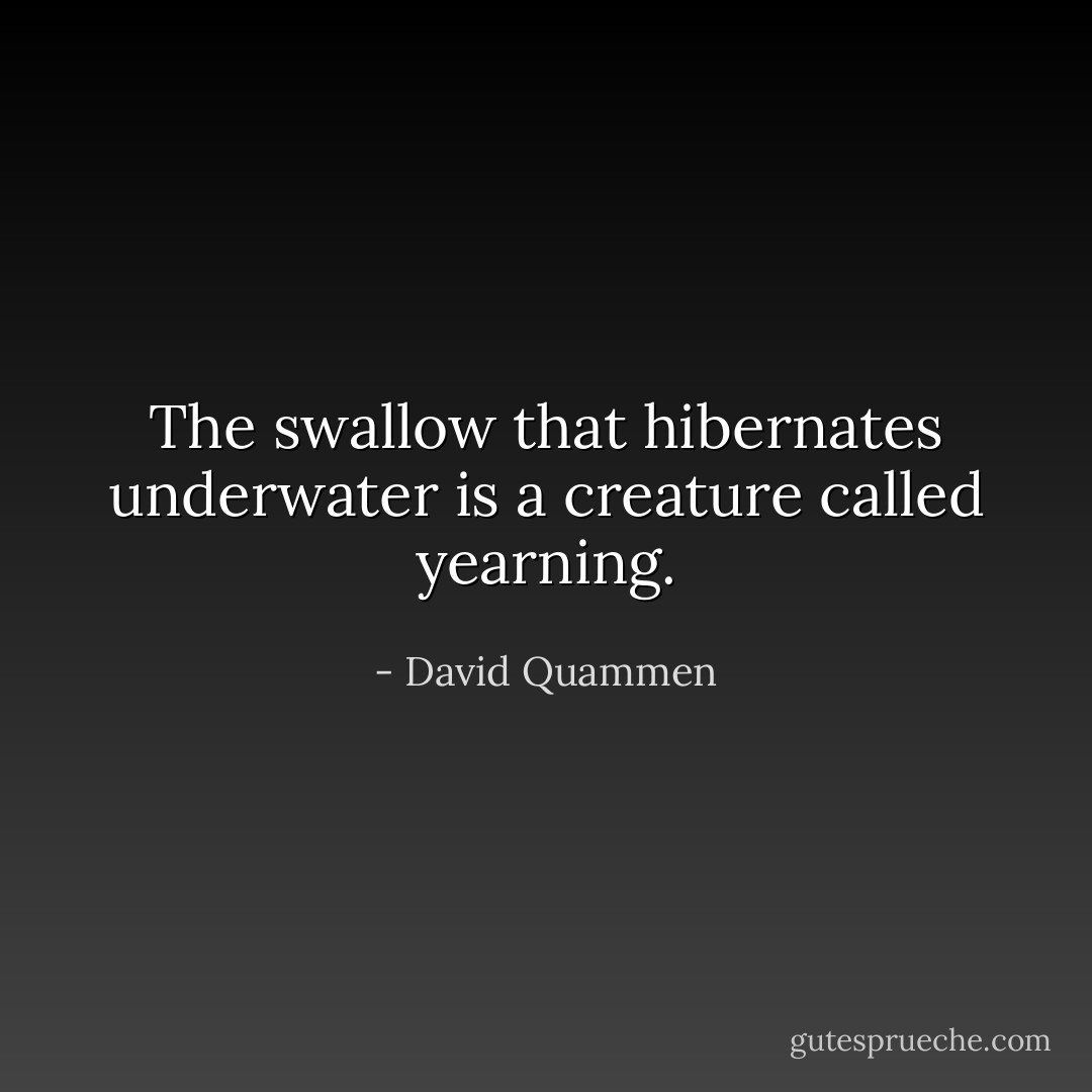 The swallow that hibernates underwater is a creature called yearning. - David Quammen