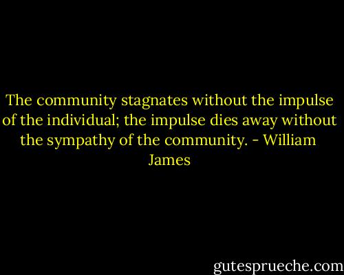 The community stagnates without the impulse of the individual; the impulse dies away without the sympathy of the community. - William  James