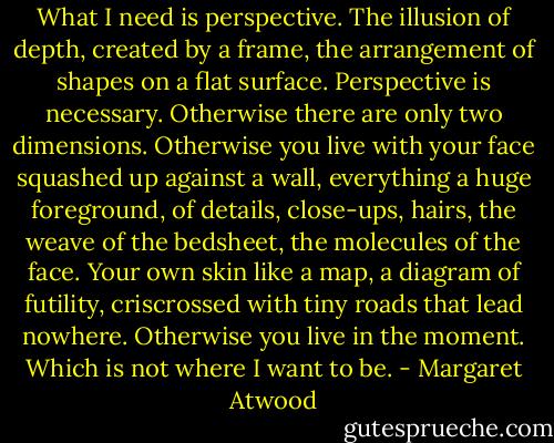 What I need is perspective. The illusion of depth, created by a frame, the arrangement of shapes on a flat surface. Perspective is necessary. Otherwise there are only two dimensions. Otherwise you live with your face squashed up against a wall, everything a huge foreground, of details, close-ups, hairs, the weave of the bedsheet, the molecules of the face. Your own skin like a map, a diagram of futility, criscrossed with tiny roads that lead nowhere. Otherwise you live in the moment. Which is not where I want to be. - Margaret Atwood
