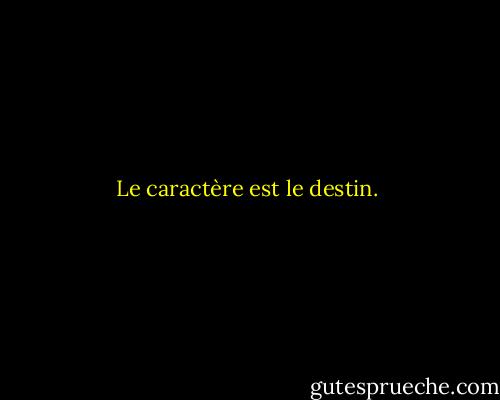 Le caractère est le destin. - Sylvia Plath
