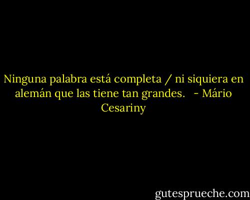 Ninguna palabra está completa / ni siquiera en alemán que las tiene tan grandes. <br /> - Mário Cesariny