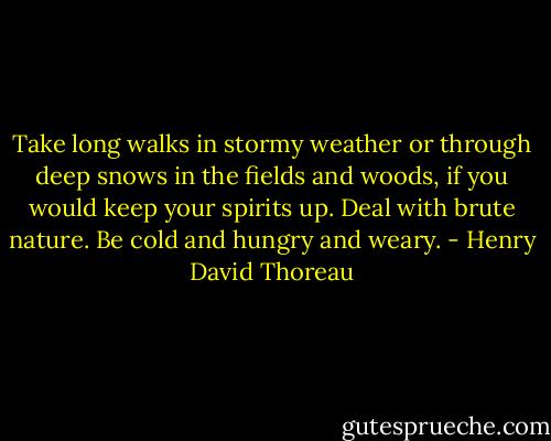 Take long walks in stormy weather or through deep snows in the fields and woods, if you would keep your spirits up. Deal with brute nature. Be cold and hungry and weary. - Henry David Thoreau