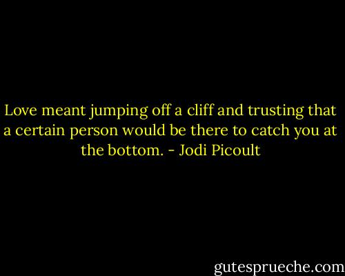 Love meant jumping off a cliff and trusting that a certain person would be there to catch you at the bottom. - Jodi Picoult