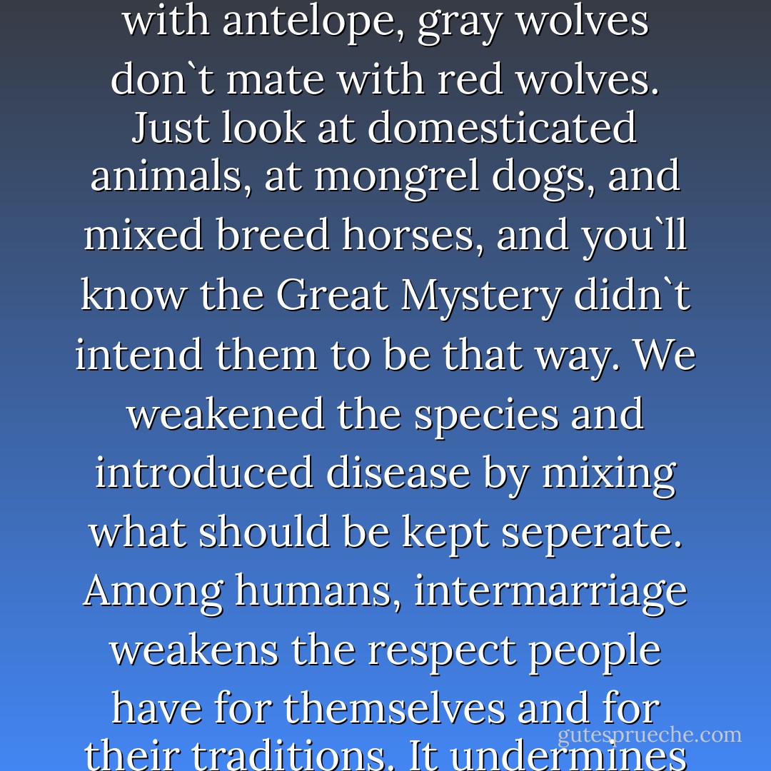 Golden eagles don`t mate with bald eagles, deer don`t mate with antelope, gray wolves don`t mate with red wolves. Just look at domesticated animals, at mongrel dogs, and mixed breed horses, and you`ll know the Great Mystery didn`t intend them to be that way. We weakened the species and introduced disease by mixing what should be kept seperate. Among humans, intermarriage weakens the respect people have for themselves and for their traditions. It undermines clarity of spirit and mind. - Russell Means
