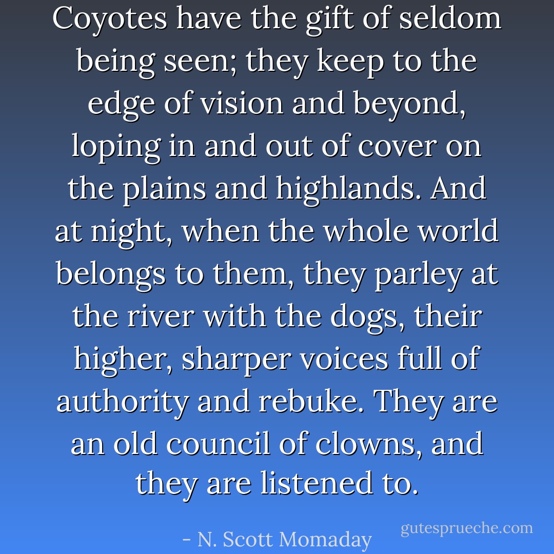 Coyotes have the gift of seldom being seen; they keep to the edge of vision and beyond, loping in and out of cover on the plains and highlands. And at night, when the whole world belongs to them, they parley at the river with the dogs, their higher, sharper voices full of authority and rebuke. They are an old council of clowns, and they are listened to. - N. Scott Momaday