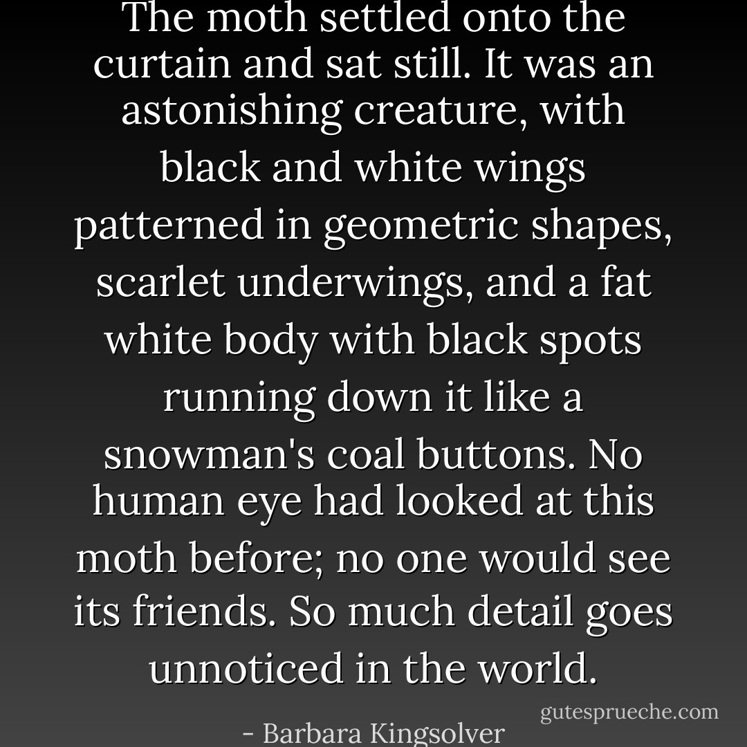The moth settled onto the curtain and sat still. It was an astonishing creature, with black and white wings patterned in geometric shapes, scarlet underwings, and a fat white body with black spots running down it like a snowman's coal buttons. No human eye had looked at this moth before; no one would see its friends. So much detail goes unnoticed in the world. - Barbara Kingsolver