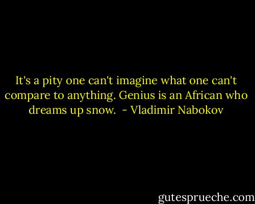 It's a pity one can't imagine what one can't compare to anything. Genius is an African who dreams up snow.  - Vladimir Nabokov