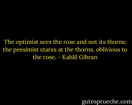The optimist sees the rose and not its thorns; the pessimist stares at the thorns, oblivious to the rose. - Kahlil Gibran
