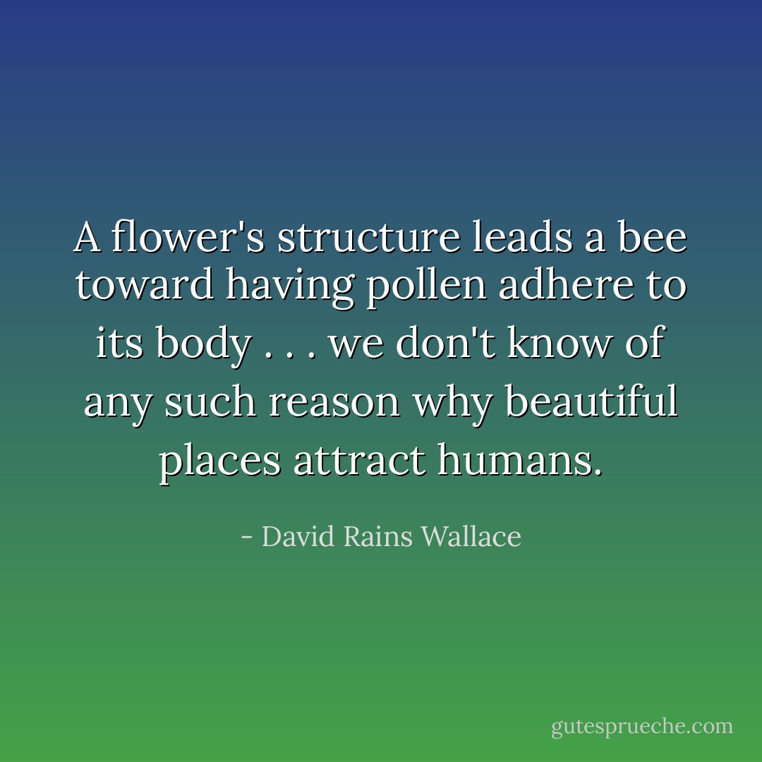 A flower's structure leads a bee toward having pollen adhere to its body . . . we don't know of any such reason why beautiful places attract humans. - David Rains Wallace