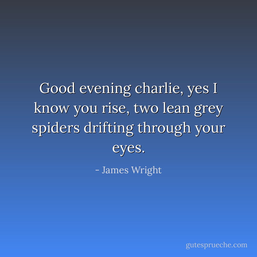 Good evening charlie, yes I know you rise, two lean grey spiders drifting through your eyes. - James Wright