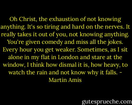 Oh Christ, the exhaustion of not knowing anything. It's so tiring and hard on the nerves. It really takes it out of you, not knowing anything. You're given comedy and miss all the jokes. Every hour you get weaker. Sometimes, as I sit alone in my flat in London and stare at the window, I think how dismal it is, how heavy, to watch the rain and not know why it falls. - Martin Amis