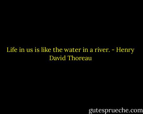 Life in us is like the water in a river. - Henry David Thoreau