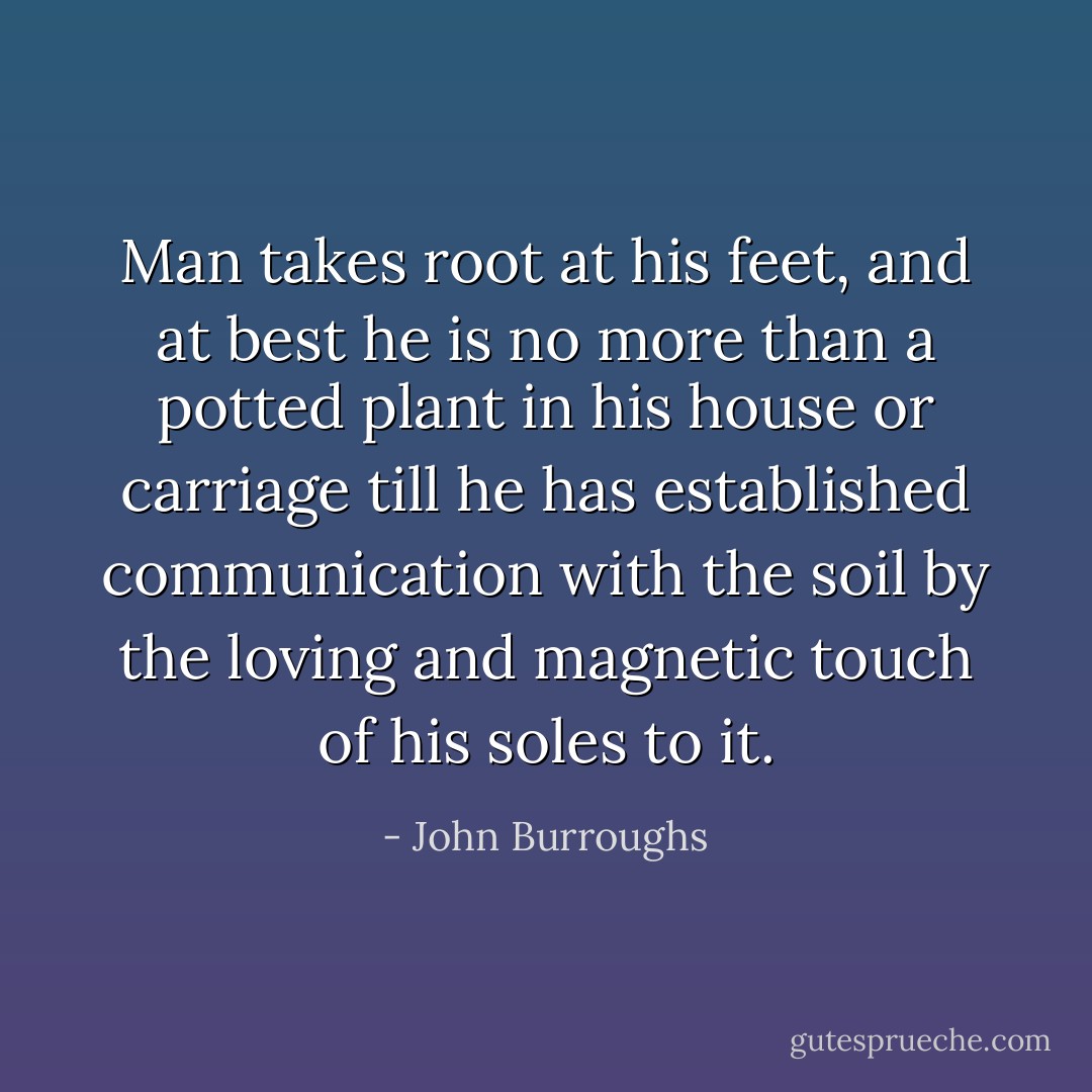 Man takes root at his feet, and at best he is no more than a potted plant in his house or carriage till he has established communication with the soil by the loving and magnetic touch of his soles to it. - John Burroughs
