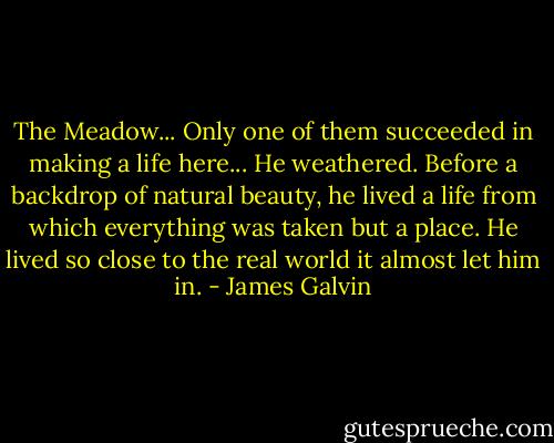 The Meadow... Only one of them succeeded in making a life here... He weathered. Before a backdrop of natural beauty, he lived a life from which everything was taken but a place. He lived so close to the real world it almost let him in. - James Galvin