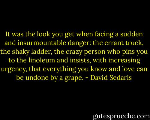 It was the look you get when facing a sudden and insurmountable danger: the errant truck, the shaky ladder, the crazy person who pins you to the linoleum and insists, with increasing urgency, that everything you know and love can be undone by a grape. - David Sedaris