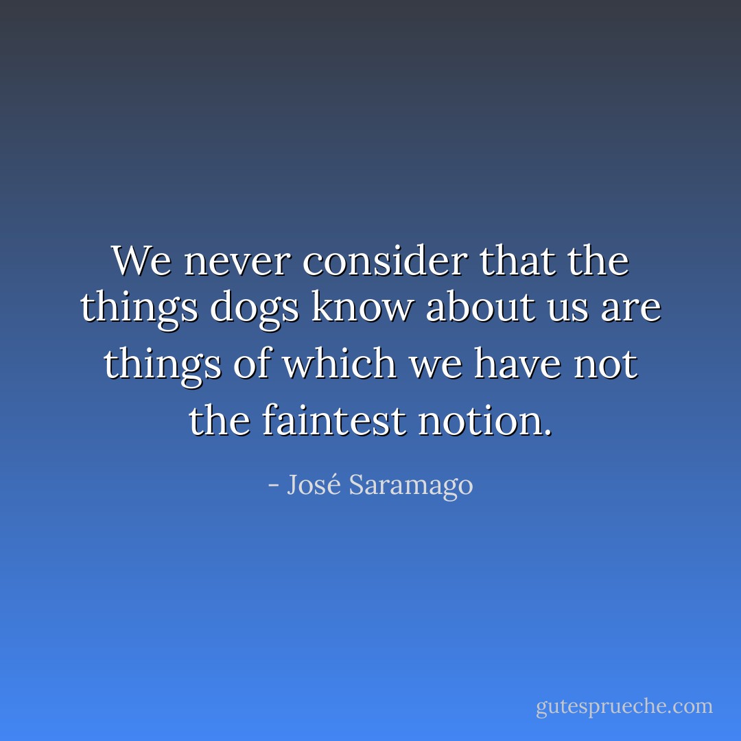 We never consider that the things dogs know about us are things of which we have not the faintest notion. - José Saramago