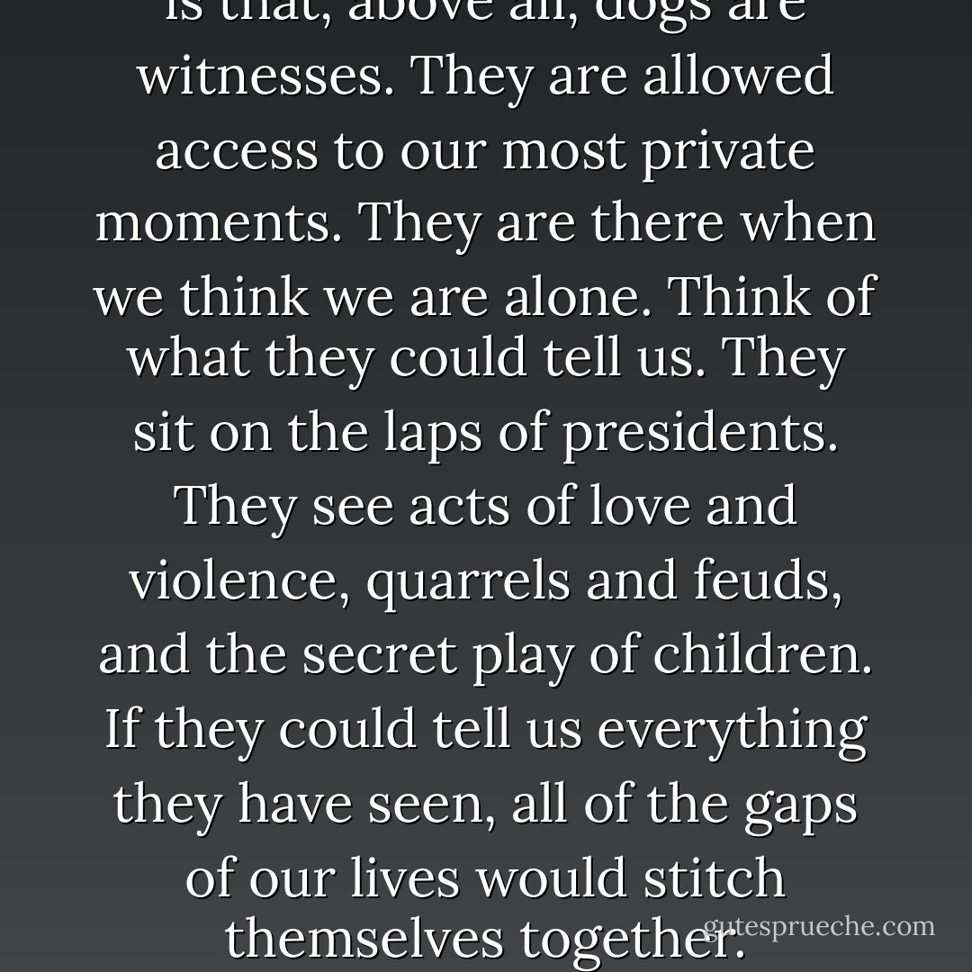 The conclusion I have reached is that, above all, dogs are witnesses. They are allowed access to our most private moments. They are there when we think we are alone. Think of what they could tell us. They sit on the laps of presidents. They see acts of love and violence, quarrels and feuds, and the secret play of children. If they could tell us everything they have seen, all of the gaps of our lives would stitch themselves together. - Carolyn Parkhurst
