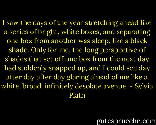 I saw the days of the year stretching ahead like a series of bright, white boxes, and separating one box from another was sleep, like a black shade. Only for me, the long perspective of shades that set off one box from the next day had suddenly snapped up, and I could see day after day after day glaring ahead of me like a white, broad, infinitely desolate avenue. - Sylvia Plath