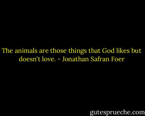 The animals are those things that God likes but doesn't love. - Jonathan Safran Foer
