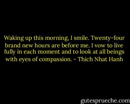Waking up this morning, I smile. Twenty-four brand new hours are before me. I vow to live fully in each moment and to look at all beings with eyes of compassion. - Thich Nhat Hanh