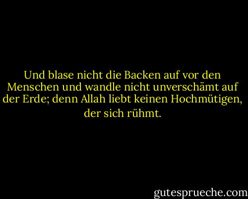 Und blase nicht die Backen auf vor den Menschen und wandle nicht unverschämt auf der Erde; denn Allah liebt keinen Hochmütigen, der sich rühmt. - Anonymous<