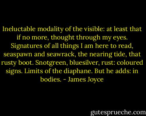 Ineluctable modality of the visible: at least that if no more, thought through my eyes. Signatures of all things I am here to read, seaspawn and seawrack, the nearing tide, that rusty boot. Snotgreen, bluesilver, rust: coloured signs. Limits of the diaphane. But he adds: in bodies. - James Joyce