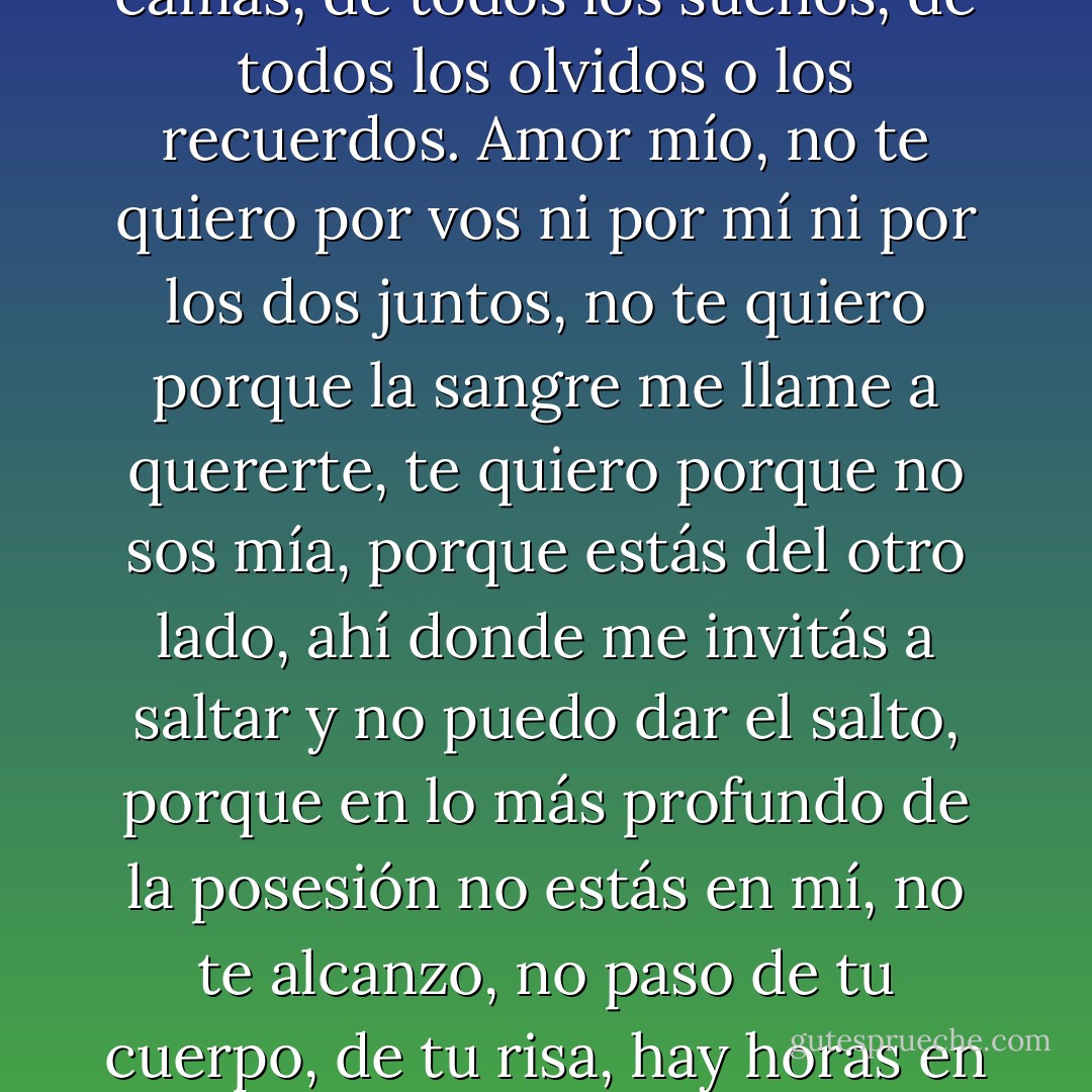 Pero el amor, esa palabra... Moralista Horacio, temeroso de pasiones sin una razón de aguas hondas, desconcertado y arisco en la ciudad donde el amor se llama con todos los nombres de todas las calles, de todas las casas, de todos los pisos, de todas las habitaciones, de todas las camas, de todos los sueños, de todos los olvidos o los recuerdos. Amor mío, no te quiero por vos ni por mí ni por los dos juntos, no te quiero porque la sangre me llame a quererte, te quiero porque no sos mía, porque estás del otro lado, ahí donde me invitás a saltar y no puedo dar el salto, porque en lo más profundo de la posesión no estás en mí, no te alcanzo, no paso de tu cuerpo, de tu risa, hay horas en que me atormenta que me ames (cómo te gusta usar el verbo amar, con qué cursilería lo vas dejando caer sobre los platos y las sábanas y los autobuses), me atormenta tu amor que no me sirve de puente porque un puente no se sostiene de un solo lado... - Julio Cortázar