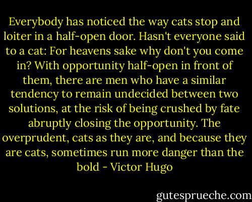 Everybody has noticed the way cats stop and loiter in a half-open door. Hasn't everyone said to a cat: For heavens sake why don't you come in? With opportunity half-open in front of them, there are men who have a similar tendency to remain undecided between two solutions, at the risk of being crushed by fate abruptly closing the opportunity. The overprudent, cats as they are, and because they are cats, sometimes run more danger than the bold - Victor Hugo