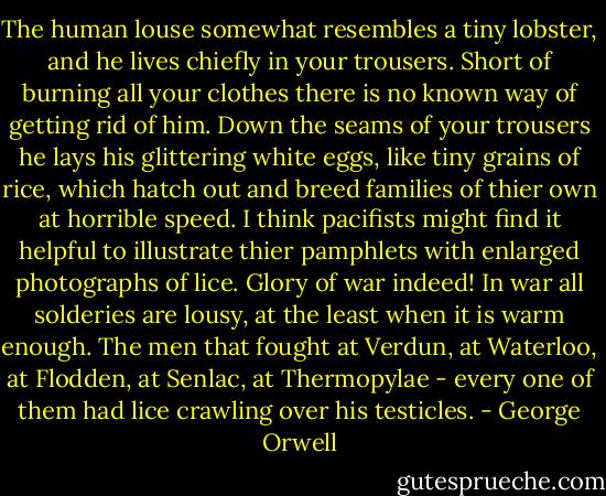 The human louse somewhat resembles a tiny lobster, and he lives chiefly in your trousers. Short of burning all your clothes there is no known way of getting rid of him. Down the seams of your trousers he lays his glittering white eggs, like tiny grains of rice, which hatch out and breed families of thier own at horrible speed. I think pacifists might find it helpful to illustrate thier pamphlets with enlarged photographs of lice. Glory of war indeed! In war all solderies are lousy, at the least when it is warm enough. The men that fought at Verdun, at Waterloo, at Flodden, at Senlac, at Thermopylae - every one of them had lice crawling over his testicles. - George Orwell
