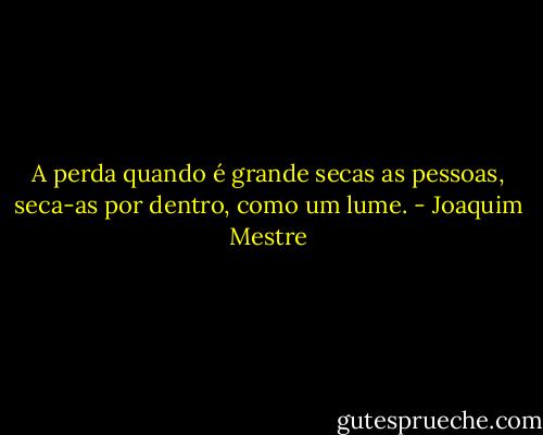 A perda quando é grande secas as pessoas, seca-as por dentro, como um lume. - Joaquim Mestre