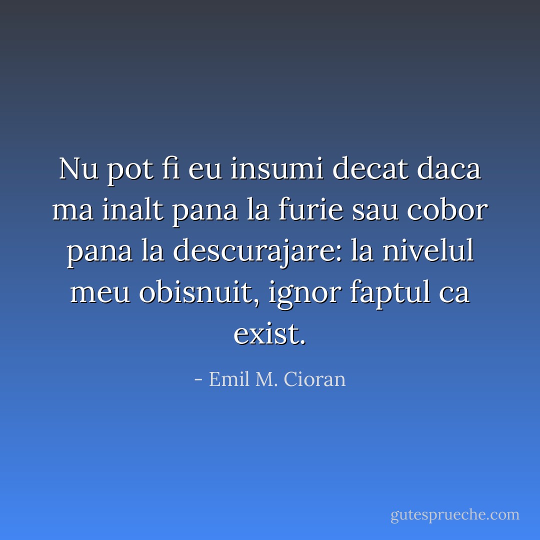 Nu pot fi eu insumi decat daca ma inalt pana la furie sau cobor pana la descurajare: la nivelul meu obisnuit, ignor faptul ca exist. - Emil M. Cioran