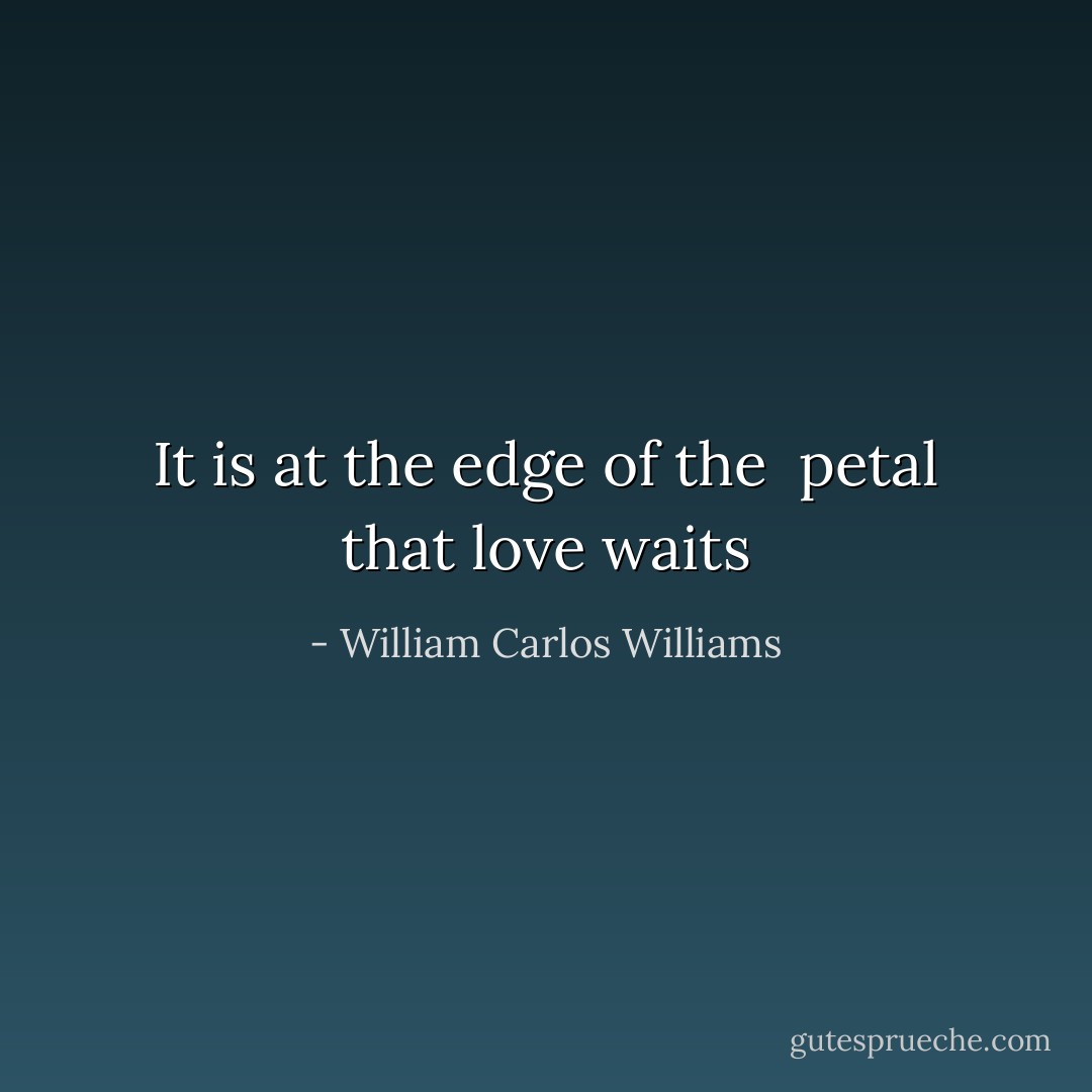 It is at the edge of the <br />petal that love waits - William Carlos Williams