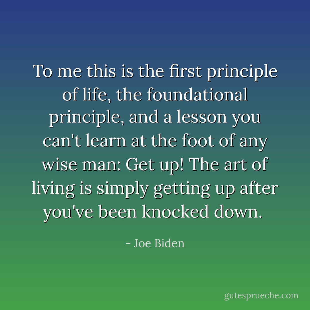 To me this is the first principle of life, the foundational principle, and a lesson you can't learn at the foot of any wise man: Get up! The art of living is simply getting up after you've been knocked down.  - Joe Biden