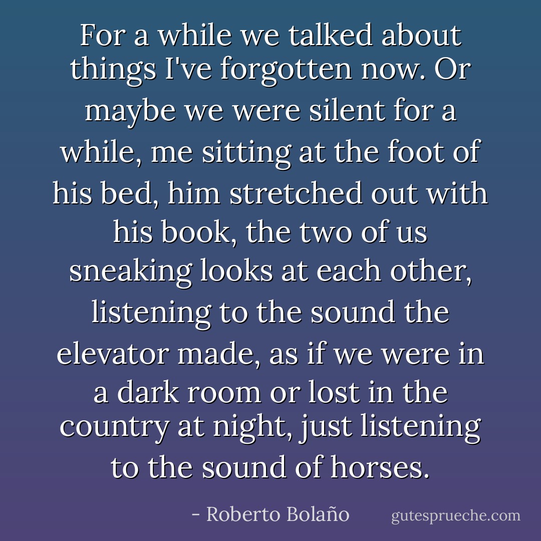 For a while we talked about things I've forgotten now. Or maybe we were silent for a while, me sitting at the foot of his bed, him stretched out with his book, the two of us sneaking looks at each other, listening to the sound the elevator made, as if we were in a dark room or lost in the country at night, just listening to the sound of horses. - Roberto Bolaño