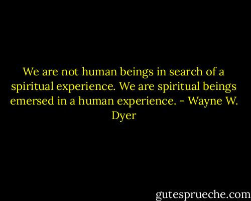 We are not human beings in search of a spiritual experience. We are spiritual beings emersed in a human experience. - Wayne W. Dyer