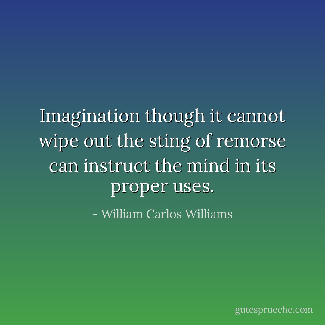 Imagination though it cannot wipe out the sting of remorse can instruct the mind in its proper uses. - William Carlos Williams