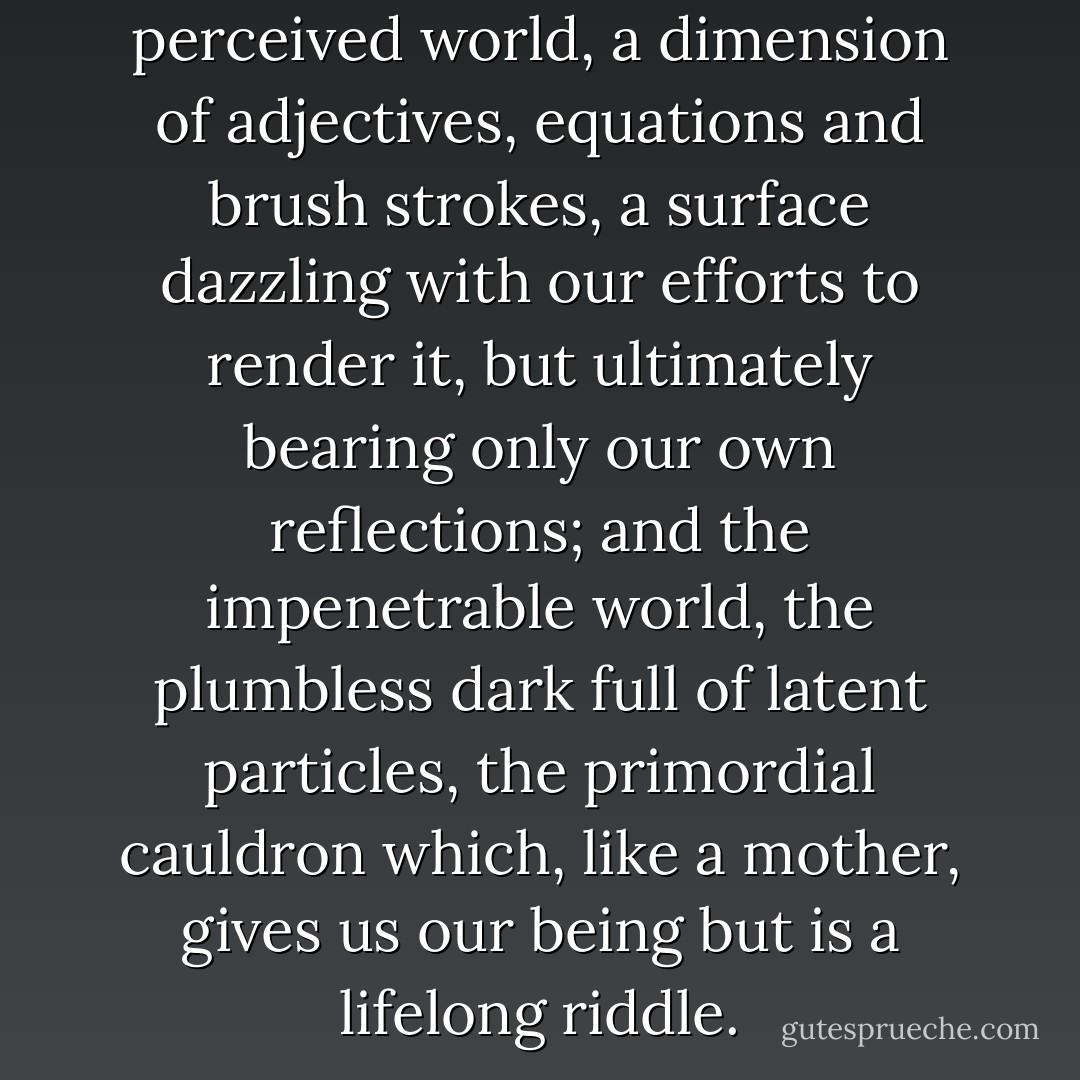 So there were two worlds: the perceived world, a dimension of adjectives, equations and brush strokes, a surface dazzling with our efforts to render it, but ultimately bearing only our own reflections; and the impenetrable world, the plumbless dark full of latent particles, the primordial cauldron which, like a mother, gives us our being but is a lifelong riddle. - Bia Lowe