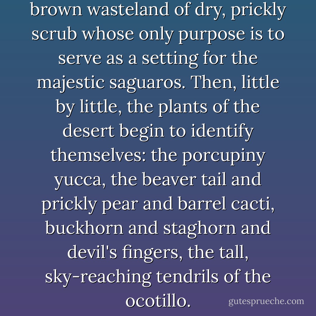 The desert seems to be a brown wasteland of dry, prickly scrub whose only purpose is to serve as a setting for the majestic saguaros. Then, little by little, the plants of the desert begin to identify themselves: the porcupiny yucca, the beaver tail and prickly pear and barrel cacti, buckhorn and staghorn and devil's fingers, the tall, sky-reaching tendrils of the ocotillo. - Jerry Spinelli