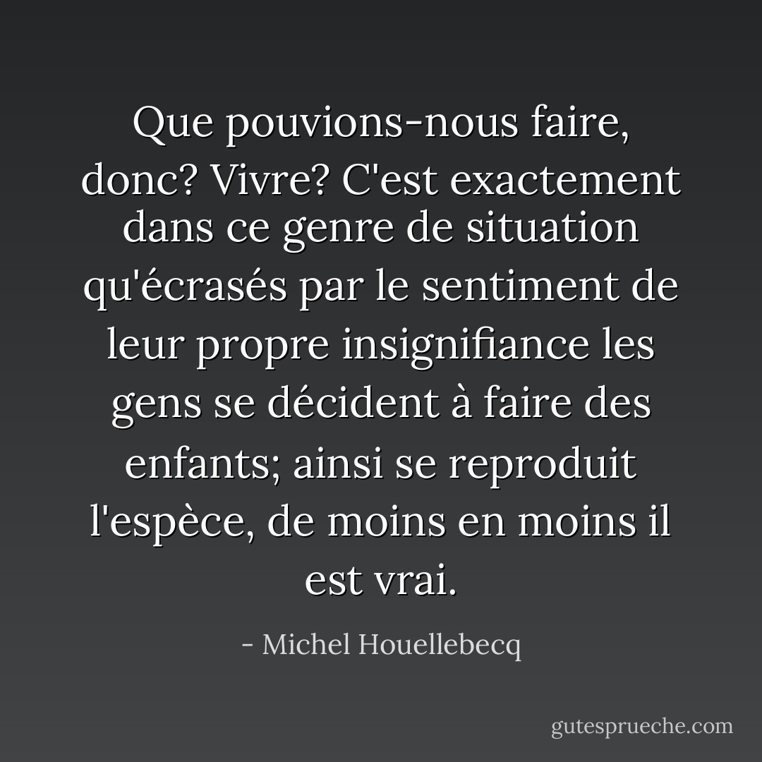 Que pouvions-nous faire, donc? Vivre? C'est exactement dans ce genre de situation qu'écrasés par le sentiment de leur propre insignifiance les gens se décident à faire des enfants; ainsi se reproduit l'espèce, de moins en moins il est vrai. - Michel Houellebecq
