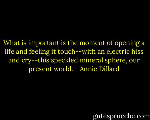 What is important is the moment of opening a life and feeling it touch--with an electric hiss and cry--this speckled mineral sphere, our present world. - Annie Dillard