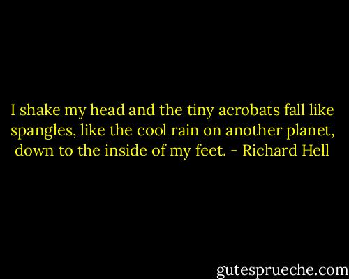 I shake my head and the tiny acrobats fall like spangles, like the cool rain on another planet, down to the inside of my feet. - Richard Hell