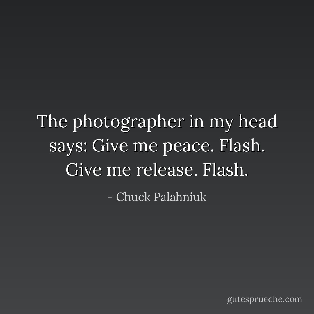 The photographer in my head says:<br />Give me peace.<br />Flash.<br />Give me release.<br />Flash. - Chuck Palahniuk