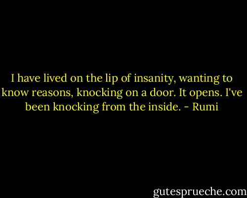 I have lived on the lip<br />of insanity, wanting to know reasons,<br />knocking on a door. It opens.<br />I've been knocking from the inside. - Rumi