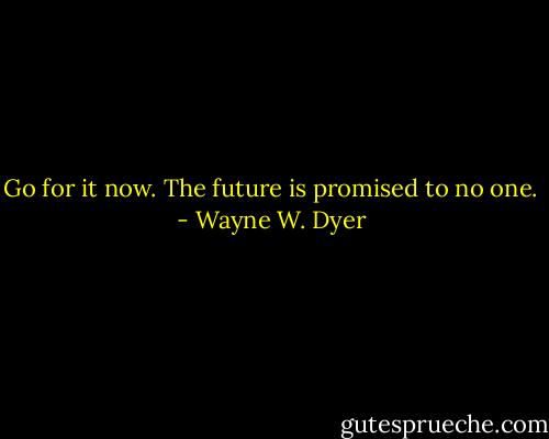 Go for it now. The future is promised to no one. - Wayne W. Dyer