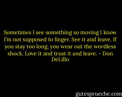 Sometimes I see something so moving I know I’m not supposed to linger. See it and leave. If you stay too long, you wear out the wordless shock. Love it and trust it and leave. - Don DeLillo