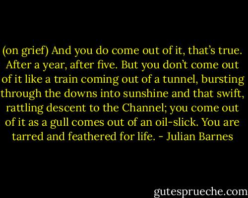 (on grief) And you do come out of it, that’s true. After a year, after five. But you don’t come out of it like a train coming out of a tunnel, bursting through the downs into sunshine and that swift, rattling descent to the Channel; you come out of it as a gull comes out of an oil-slick. You are tarred and feathered for life. - Julian Barnes