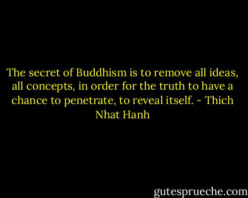 The secret of Buddhism is to remove all ideas, all concepts, in order for the truth to have a chance to penetrate, to reveal itself. - Thich Nhat Hanh