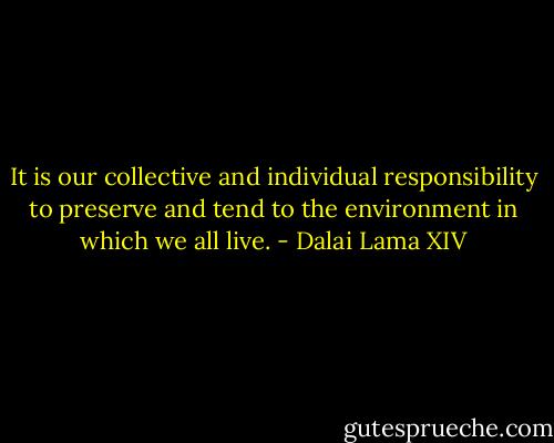 It is our collective and individual responsibility to preserve and tend to the environment in which we all live. - Dalai Lama XIV